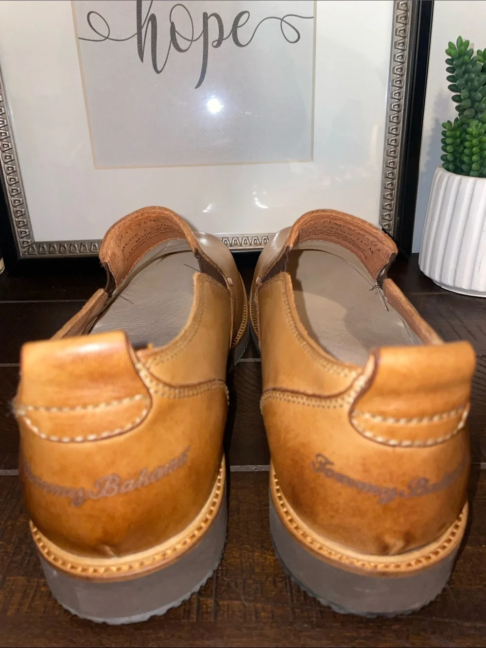 Tommy Bahama tommy bahama